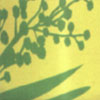 Eternity 311-02